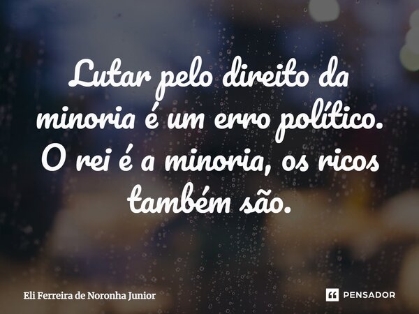 ⁠Lutar pelo direito da minoria é um erro político. O rei é a minoria, os ricos também são.... Frase de Eli Ferreira de Noronha Junior.