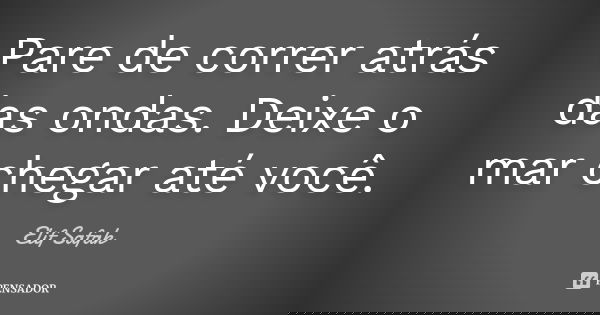 Pare de correr atrás das ondas. Deixe o mar chegar até você.... Frase de Elif Safak.