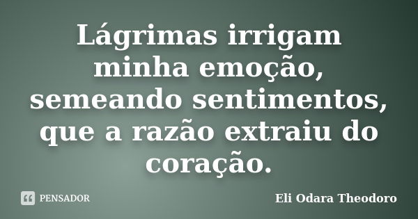 Lágrimas irrigam minha emoção, semeando sentimentos, que a razão extraiu do coração.... Frase de Eli Odara Theodoro.