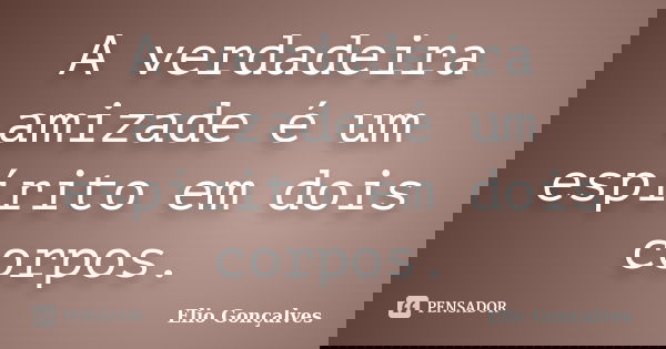 A verdadeira amizade é um espírito em dois corpos.... Frase de Elio Gonçalves.