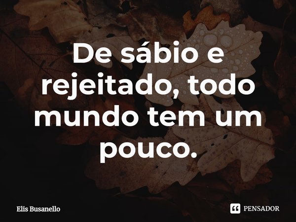 ⁠De sábio e rejeitado, todo mundo tem um pouco.... Frase de Elis Busanello.