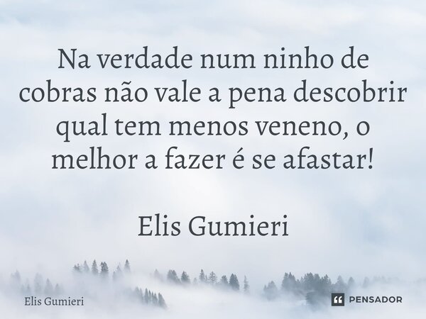 ⁠Na verdade num ninho de cobras não vale a pena descobrir qual tem menos veneno, o melhor a fazer é se afastar! Elis Gumieri... Frase de Elis Gumieri.