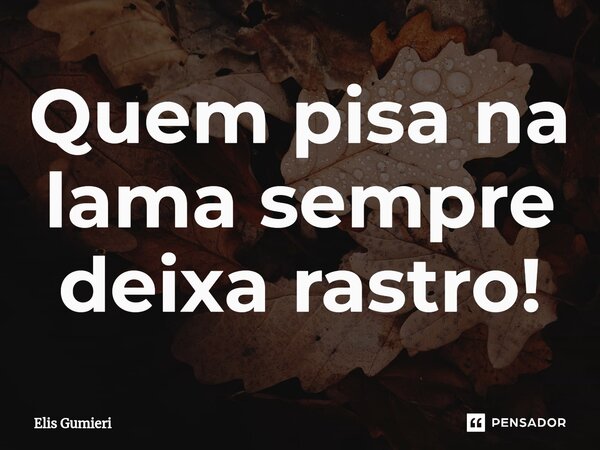 Quem pisa na lama sempre deixa rastro!... Frase de Elis Gumieri.