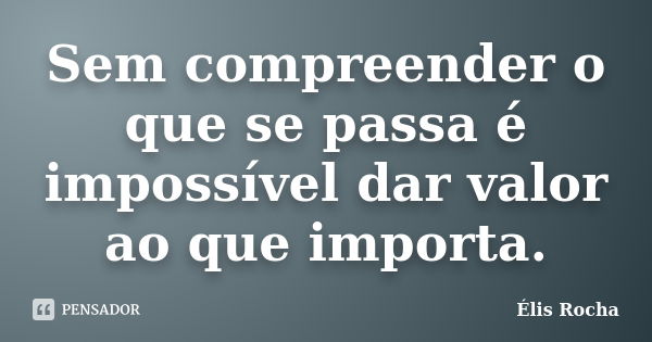 Sem compreender o que se passa é impossível dar valor ao que importa.... Frase de Élis Rocha.