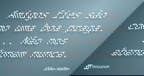 Amigos fies são como uma boa praga. ... Não nos abandonam nunca.... Frase de Elisa Salles.