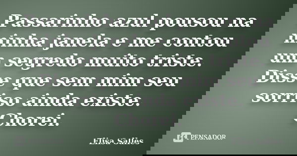 Passarinho azul pousou na minha janela e me contou um segredo muito triste. Disse que sem mim seu sorriso ainda existe. Chorei.... Frase de Elisa Salles.
