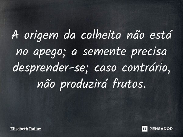 ⁠A origem da colheita não está no apego; a semente precisa desprender-se; caso contrário, não produzirá frutos.... Frase de Elisabeth Railuz.