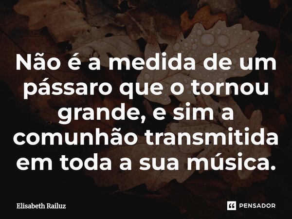 ⁠Não é a medida de um pássaro que o tornou grande, e sim a comunhão transmitida em toda a sua música.... Frase de Elisabeth Railuz.