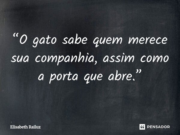 ⁠“O gato sabe quem merece sua companhia, assim como a porta que abre.”... Frase de Elisabeth Railuz.
