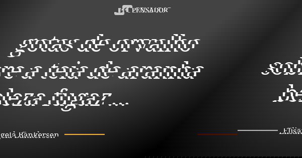 gotas de orvalho sobre a teia de aranha beleza fugaz ...... Frase de Elisângela Bankersen.