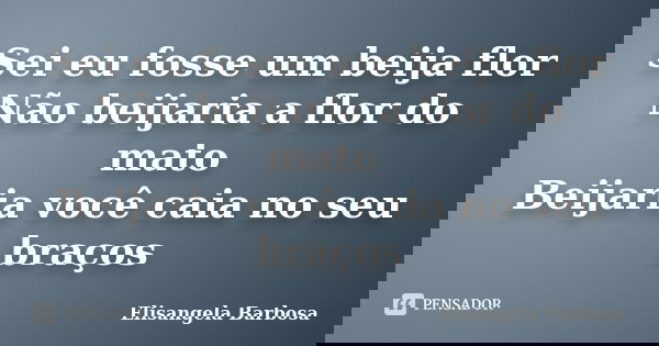 Sei eu fosse um beija flor Não beijaria a flor do mato Beijaria você caia no seu braços... Frase de Elisangela Barbosa.