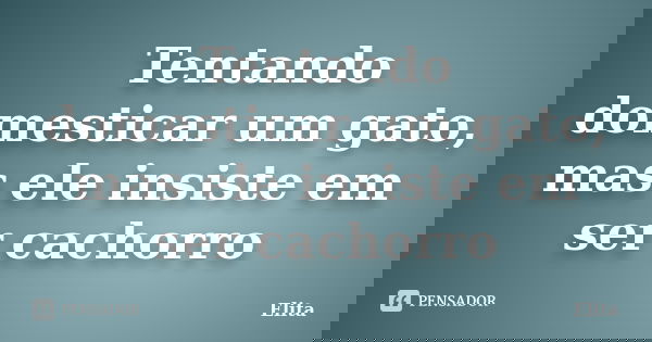 Tentando domesticar um gato, mas ele insiste em ser cachorro... Frase de Elita.