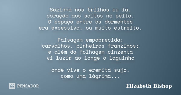 Sozinha nos trilhos eu ia, coração aos saltos no peito. O espaço entre os dormentes era excessivo, ou muito estreito. Paisagem empobrecida: carvalhos, pinheiros... Frase de Elizabeth Bishop.