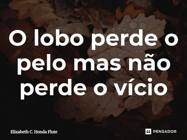 ⁠O lobo perde o pelo mas não perde o vício... Frase de Elizabeth C. Honda Flute.