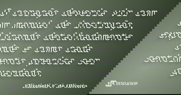 O coração deveria vir com um manual de instrução, explicando detalhadamente onde e como cada sentimento precisa ser guardado.... Frase de Elizabeth F. de Oliveira.