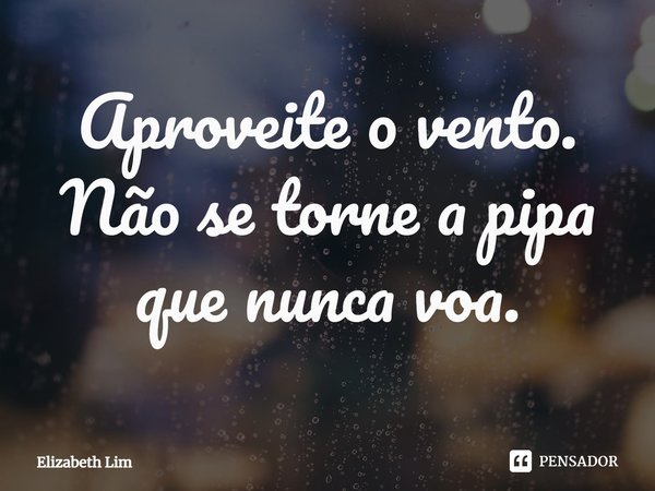 Aproveite o vento. Não se torne a pipa que nunca voa.... Frase de Elizabeth Lim.