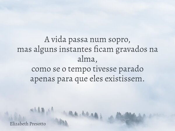 A vida passa num sopro, mas alguns instantes ficam gravados na alma, como se o tempo tivesse parado apenas para que eles existissem.... Frase de Elizabeth Presotto.