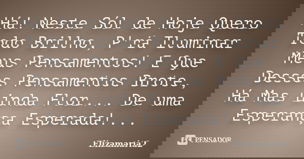 Há! Neste Sól de Hoje Quero Todo Brilho, P'rá Iluminar Meus Pensamentos! E Que Desses Pensamentos Brote, Há Mas Linda Flor... De uma Esperança Esperada!...... Frase de Elizamaria2.