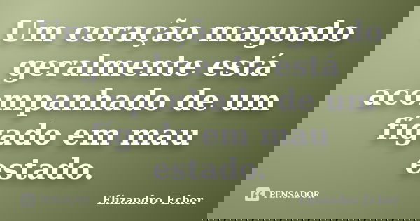 Um coração magoado geralmente está acompanhado de um fígado em mau estado.... Frase de Elizandro Echer.