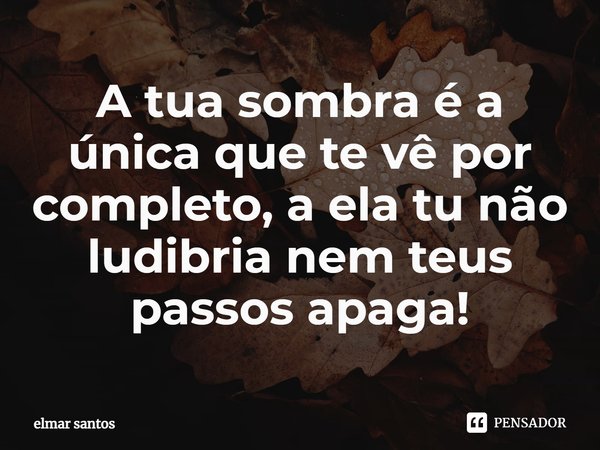 ⁠A tua sombra é a única que te vê por completo, a ela tu não ludibria nem teus passos apaga!... Frase de Elmar Santos.