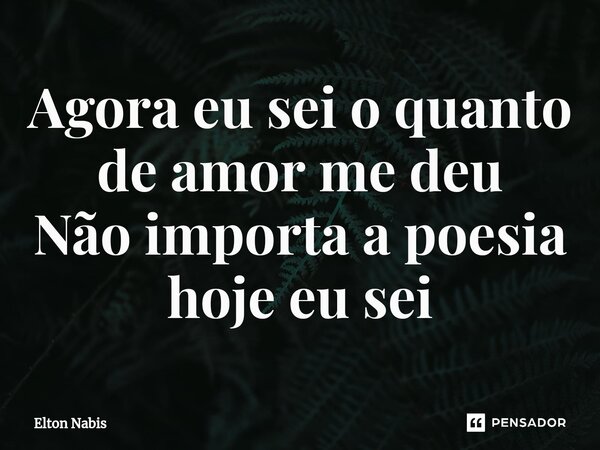 ⁠Agora eu sei o quanto de amor me deu Não importa a poesia hoje eu sei... Frase de Elton Nabis.