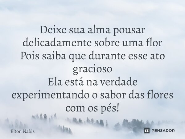 ⁠Deixe sua alma pousar delicadamente sobre uma flor Pois saiba que durante esse ato gracioso Ela está na verdade experimentando o sabor das flores com os pés!... Frase de Elton Nabis.