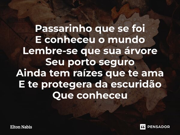 ⁠Passarinho que se foi E conheceu o mundo Lembre-se que sua árvore Seu porto seguro Ainda tem raízes que te ama E te protegera da escuridão Que conheceu... Frase de Elton Nabis.