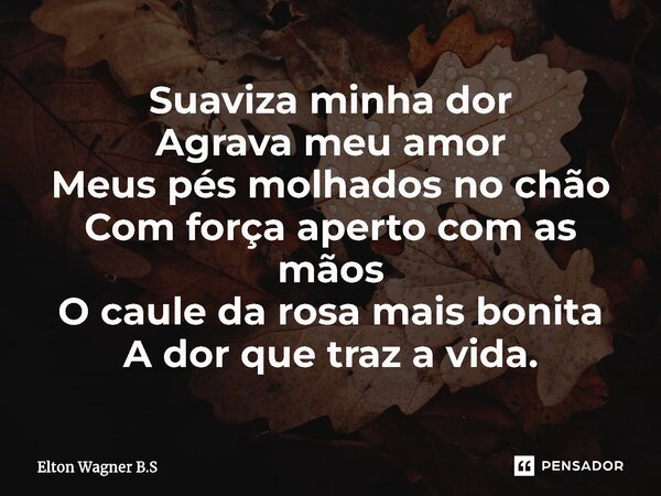 ⁠Suaviza minha dor Agrava meu amor Meus pés molhados no chão Com força aperto com as mãos O caule da rosa mais bonita A dor que traz a vida.... Frase de Elton Wagner B.S.