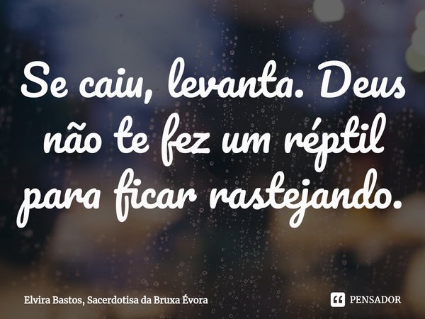 ⁠Se caiu, levanta. Deus não te fez um réptil para ficar rastejando.... Frase de Elvira Bastos, Sacerdotisa Da Bruxa Évora.