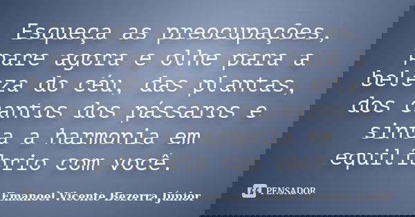 Esqueça as preocupações, pare agora e olhe para a beleza do céu, das plantas, dos cantos dos pássaros e sinta a harmonia em equilíbrio com você.... Frase de Emanoel Vicente Bezerra Júnior.