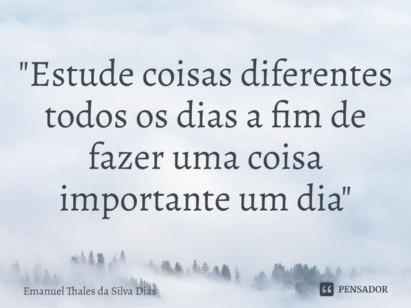 ⁠"Estude coisas diferentes todos os dias a fim de fazer uma coisa importante um dia"... Frase de Emanuel Thales da Silva Dias.