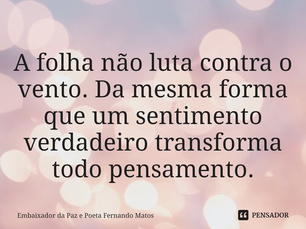 ⁠A folha não luta contra o vento. Da mesma forma que um sentimento verdadeiro transforma todo pensamento.... Frase de Embaixador da Paz e Poeta Fernando Matos.