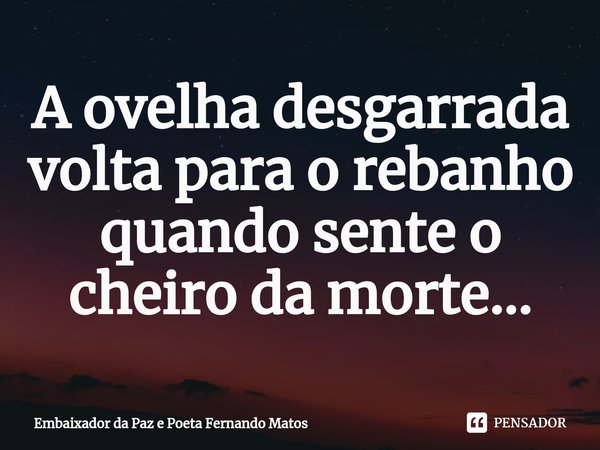 ⁠A ovelha desgarrada volta para o rebanho quando sente o cheiro da morte...... Frase de Embaixador da Paz e Poeta Fernando Matos.