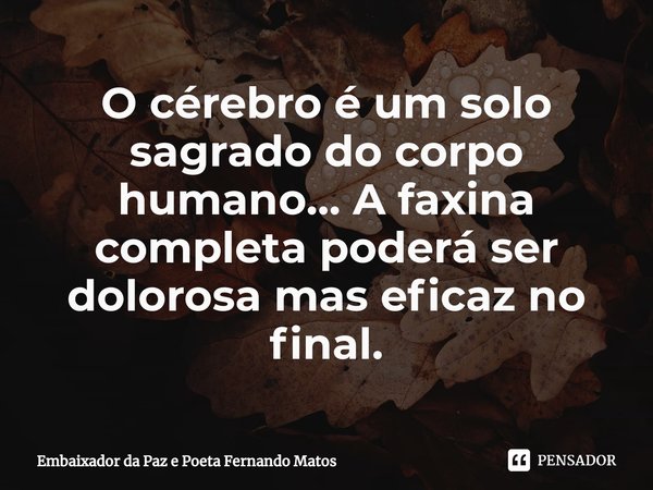 ⁠O cérebro é um solo sagrado do corpo humano... A faxina completa poderá ser dolorosa mas eficaz no final.... Frase de Embaixador da Paz e Poeta Fernando Matos.