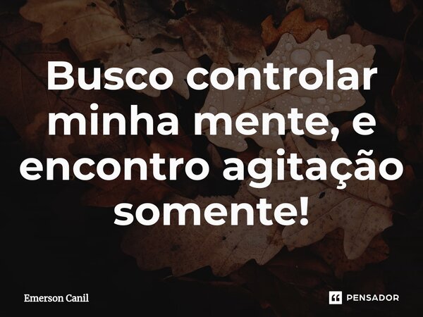 ⁠Busco controlar minha mente, e encontro agitação somente!... Frase de Emerson Canil.