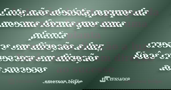 Lute,não desista,porque da mesma forma que uma planta cresce em direção a luz, Você crescera em direção ao sucesso... Frase de Emerson Felipe.