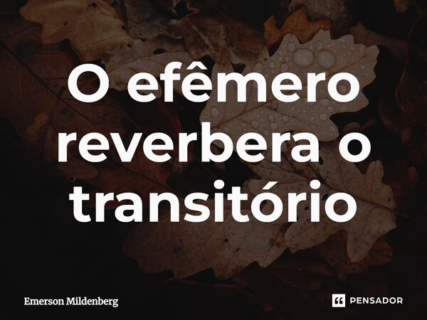 ⁠O efêmero reverbera o transitório... Frase de Emerson Mildenberg.