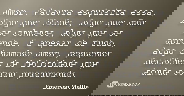 Amor. Palavra esquisita essa, algo que ilude, algo que não se conhece, algo que se aprende. E apesar de tudo, algo chamado amor, pequenos detalhes de felicidade... Frase de Emerson Mollin.