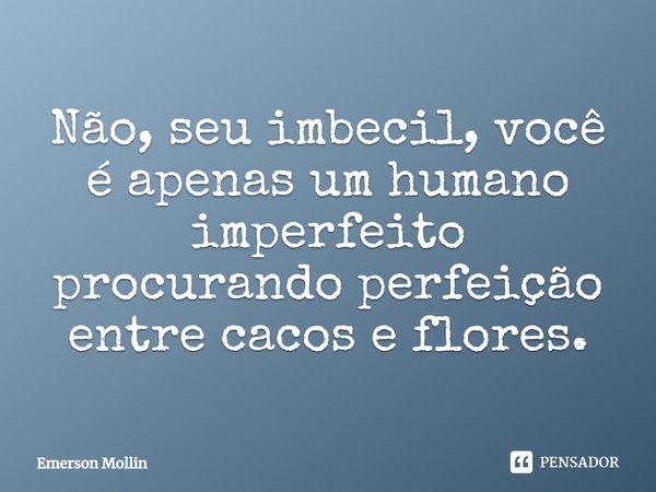 Não, seu imbecil, você é apenas um humano imperfeito procurando perfeição entre cacos e flores.... Frase de Emerson Mollin.