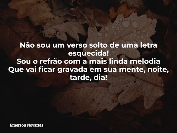 ⁠Não sou um verso solto de uma letra esquecida! Sou o refrão com a mais linda melodia Que vai ficar gravada em sua mente, noite, tarde, dia!... Frase de Emerson Novartes.