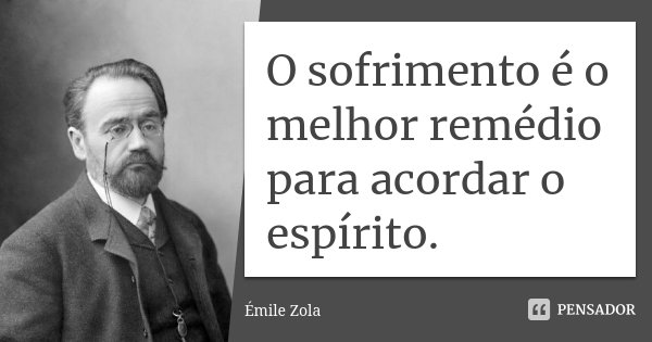 O sofrimento é o melhor remédio para acordar o espírito.... Frase de Émile Zola.
