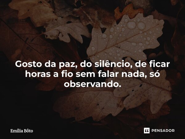 ⁠ Gosto da paz, do silêncio, de ficar horas a fio sem falar nada, só observando.... Frase de Emília Bôto.