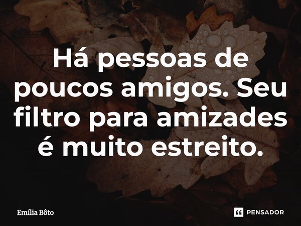 Há pessoas de poucos amigos. Seu filtro para amizades é muito estreito.... Frase de Emília Bôto.