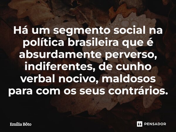 ⁠Há um segmento social na política brasileira que é absurdamente perverso, indiferentes, de cunho verbal nocivo, maldosos para com os seus contrários.... Frase de Emília Bôto.
