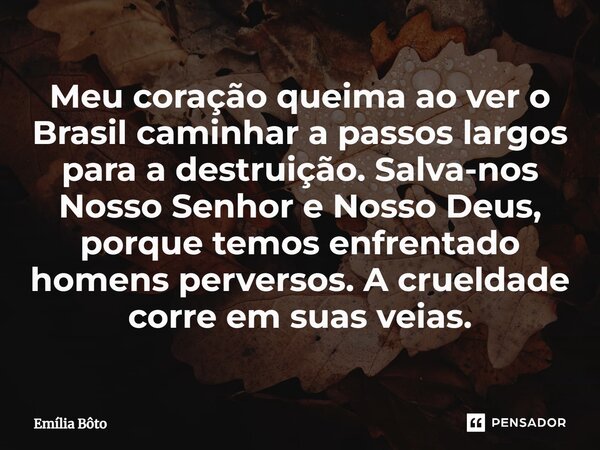⁠⁠Meu coração queima ao ver o Brasil caminhar a passos largos para a destruição. Salva-nos Nosso Senhor e Nosso Deus, porque temos enfrentado homens perversos. ... Frase de Emília Bôto.