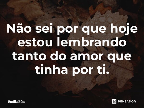 ⁠Não sei por que hoje estou lembrando tanto do amor que tinha por ti.... Frase de Emília Bôto.