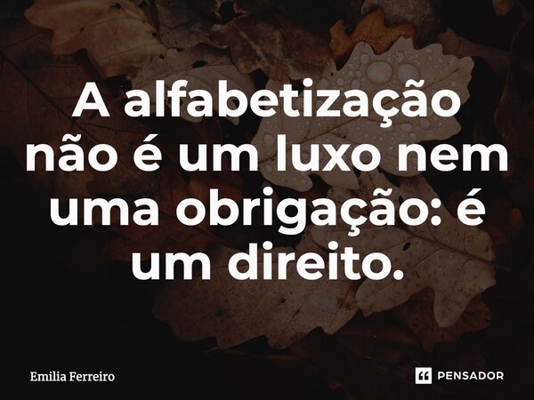 ⁠A alfabetização não é um luxo nem uma obrigação: é um direito.... Frase de Emilia Ferreiro.