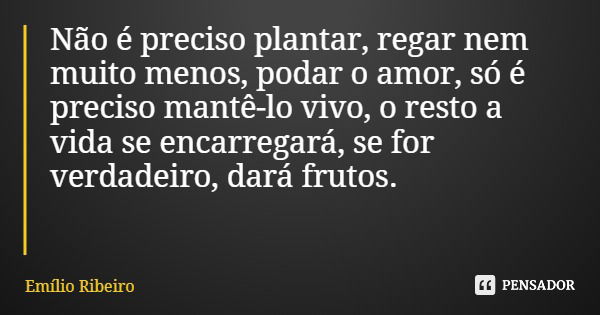 Não é preciso plantar, regar nem muito menos, podar o amor, só é preciso mantê-lo vivo, o resto a vida se encarregará, se for verdadeiro, dará frutos.... Frase de Emílio Ribeiro.
