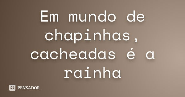 Em mundo de chapinhas, cacheadas é a rainha