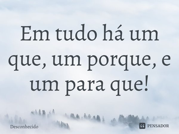 ⁠Em tudo há um que, um porque, e um para que!